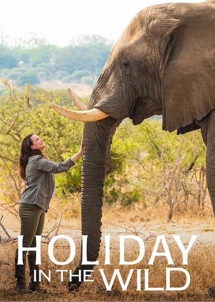 Poster för Holiday in the Wild