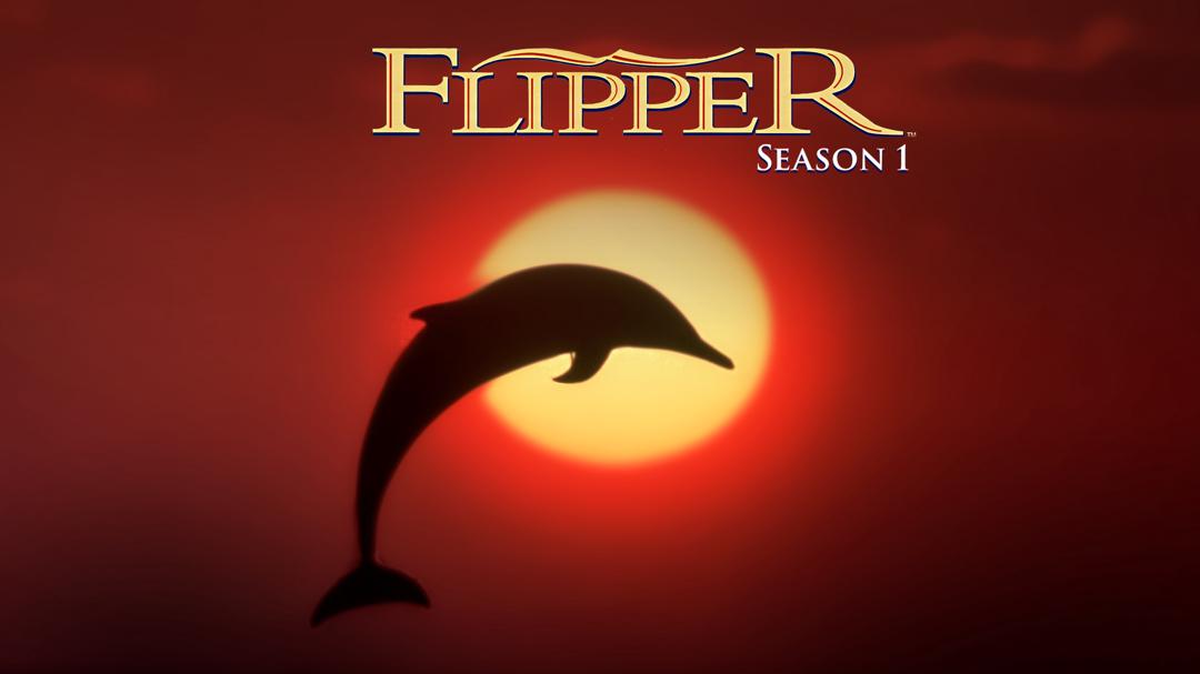 Background image for Flipper