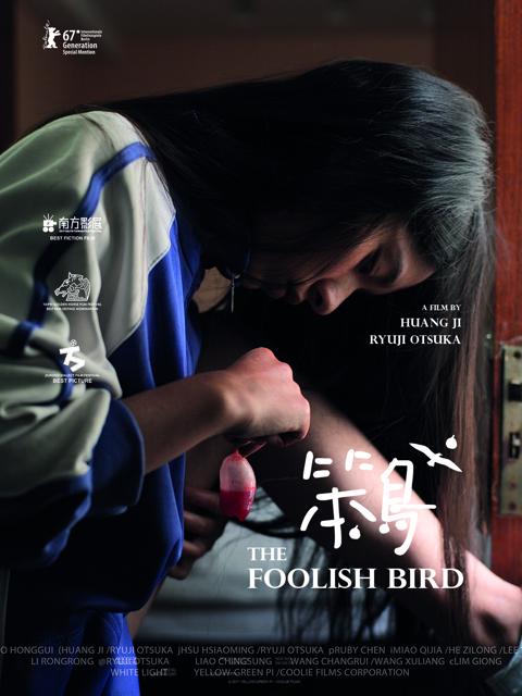 Poster för The Foolish Bird