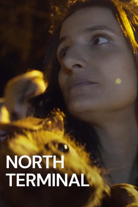 Poster för North Terminal