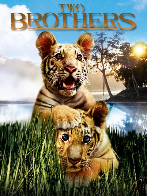 Poster för Två tigerbröder