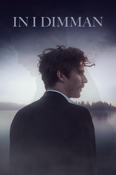 Poster för In i dimman