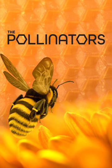 The Pollinators poszter