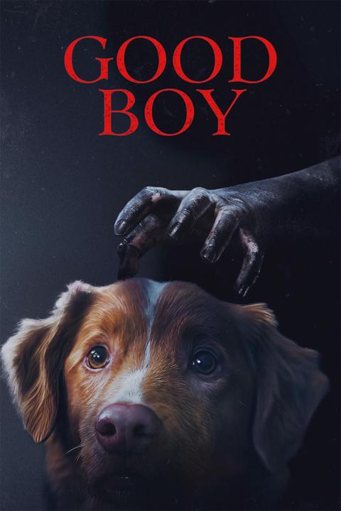 Poster för Good Boy