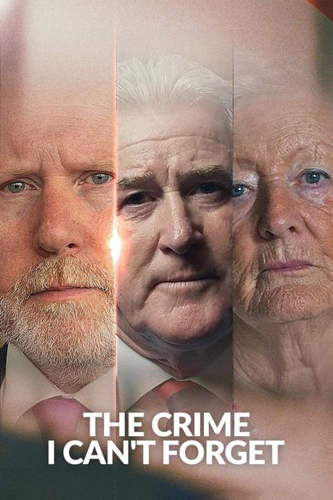 Series poster for The Crime I Can't Forget