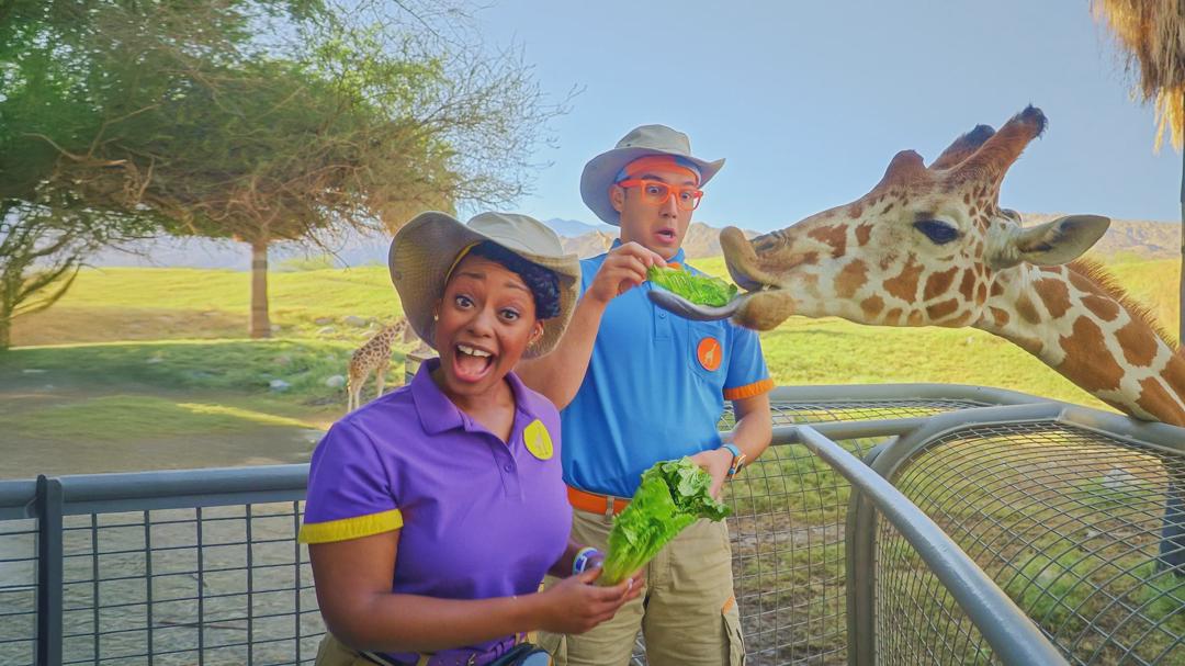 Background image for Blippi's Job Show