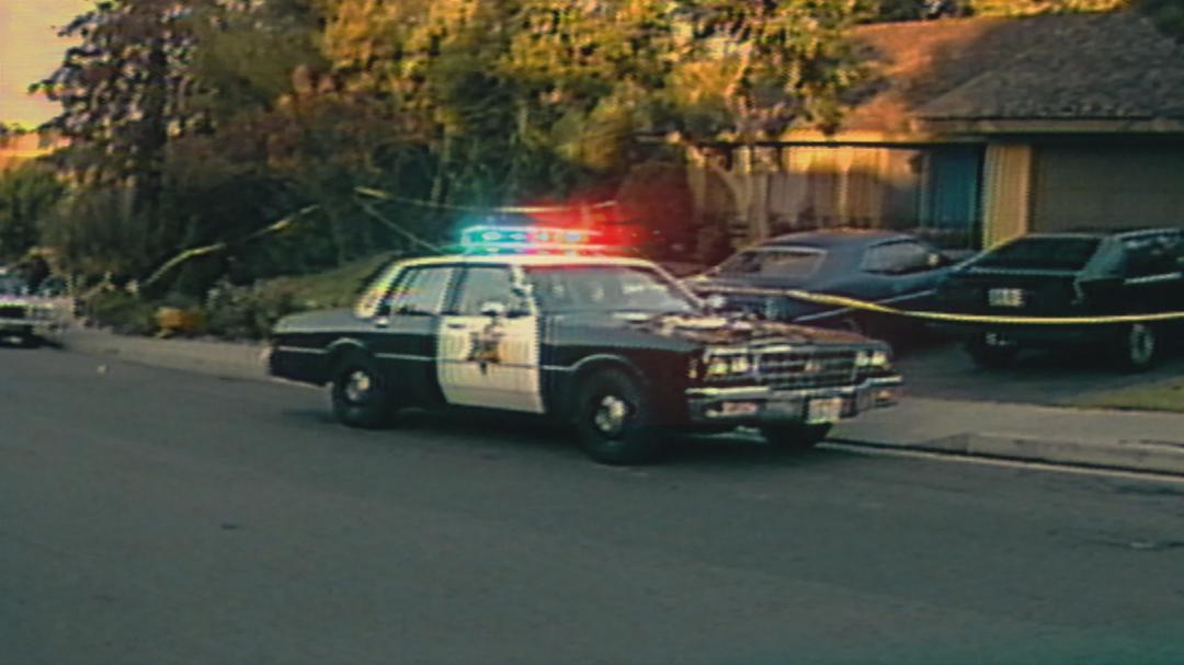 Background image for Night Stalker: The Hunt for a Serial Killer