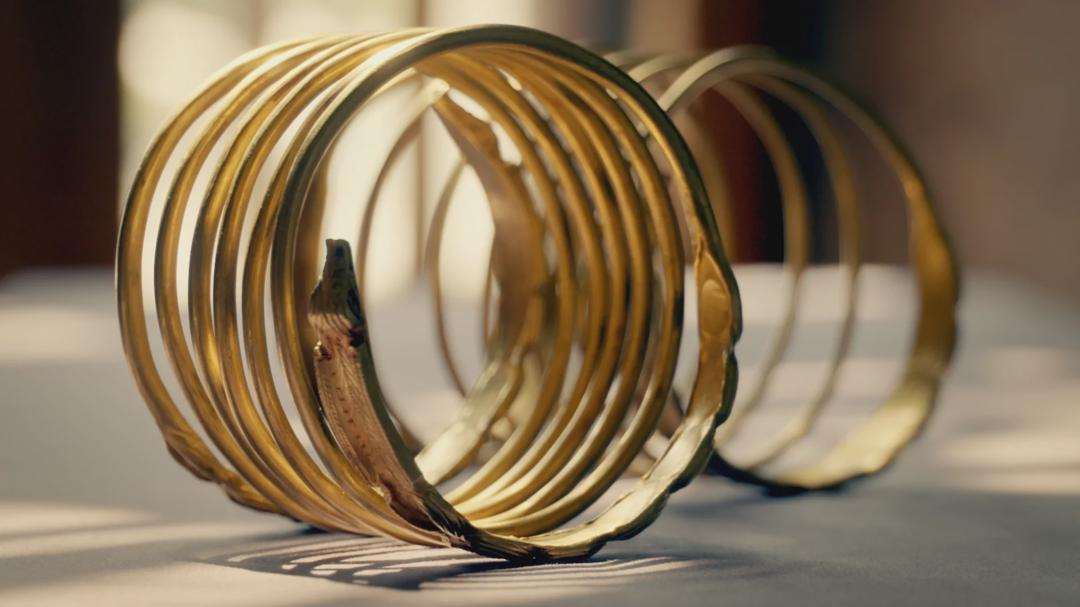 Background image for The Hunt for Transylvanian Gold