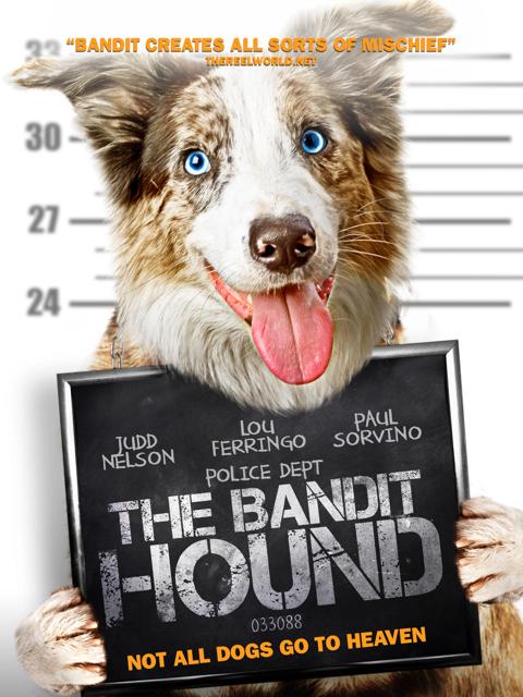 Movie poster for The Bandit Hound