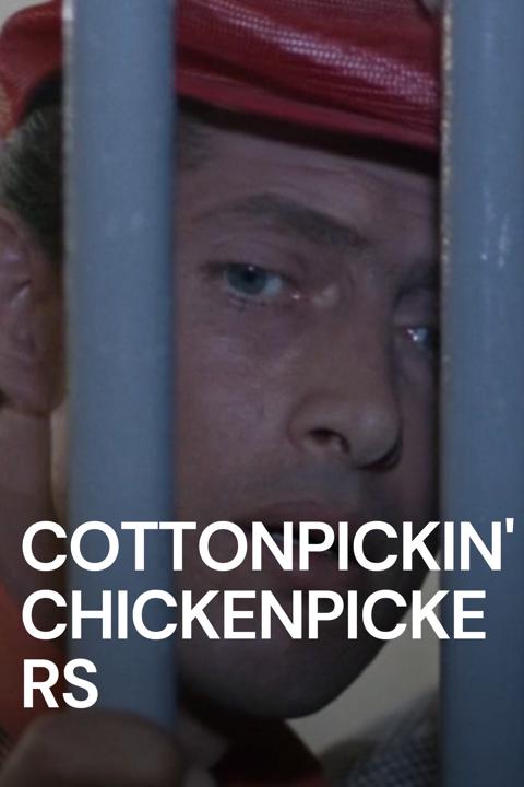 Movie poster for Cottonpickin' Chickenpickers