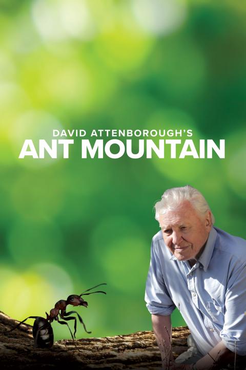 Poster för Attenborough and the Empire of the Ants