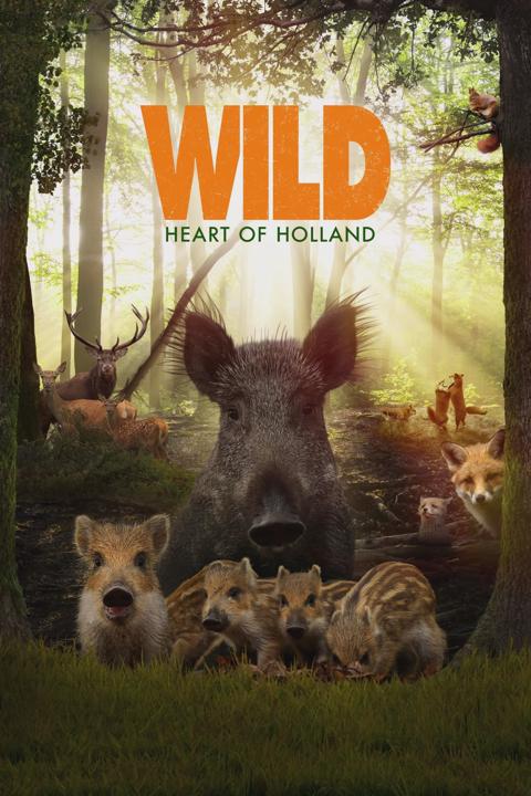 Poster för Wild