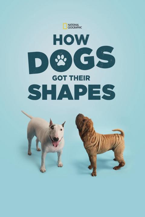 Poster för How Dogs Got Their Shapes