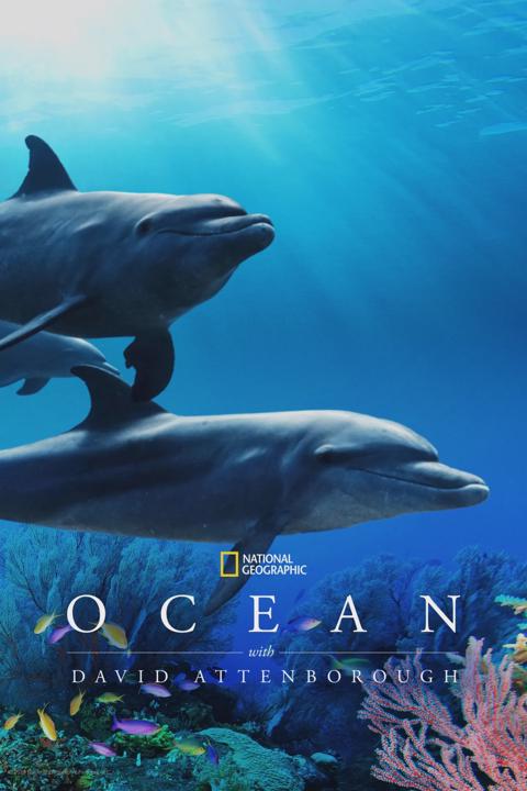 David Attenborough ile Okyanuslar