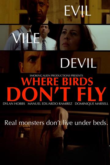 Where Birds Don't Fly poszter