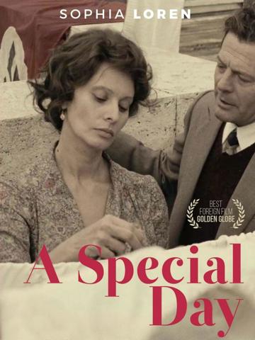 A Special Day