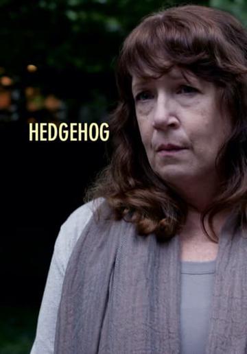 Hedgehog poszter