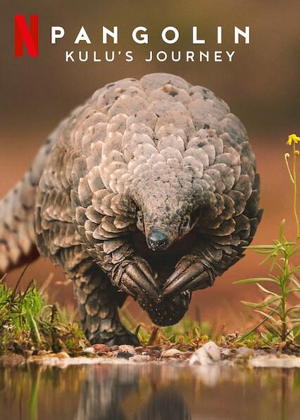 Poster för Myrkotten Kulus resa