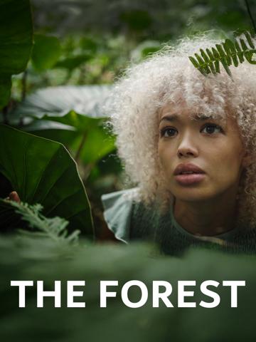 The Forest