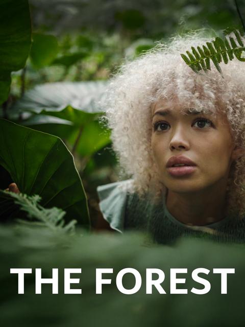 Movie poster for The Forest