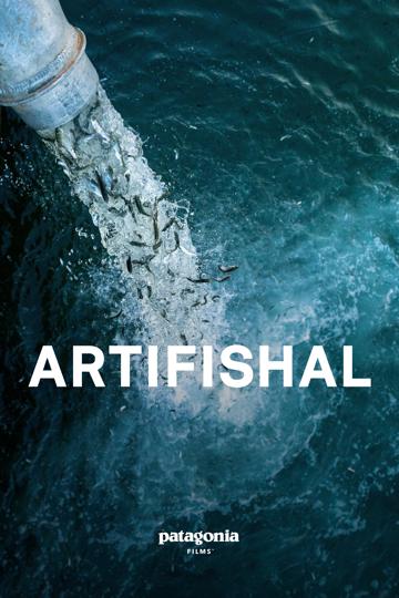 Artifishal poszter
