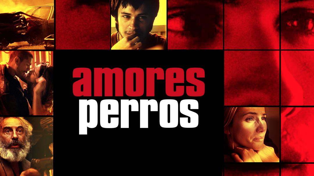 Amores Perros