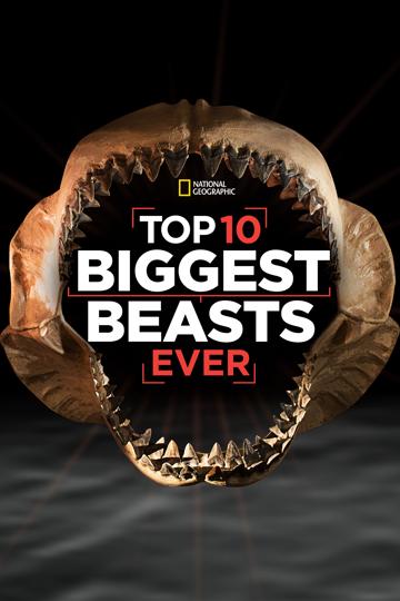 Top 10 Biggest Beasts Ever poszter