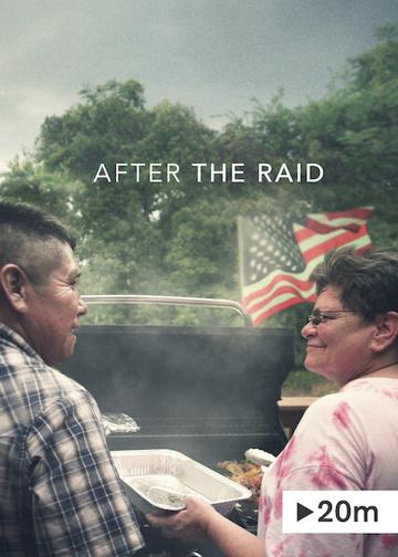 After the Raid poszter
