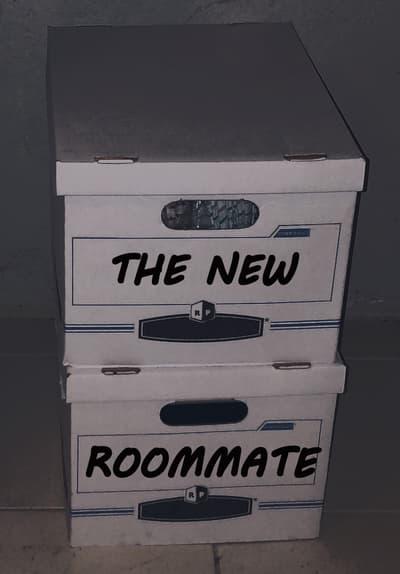 Poster för The New Roommate