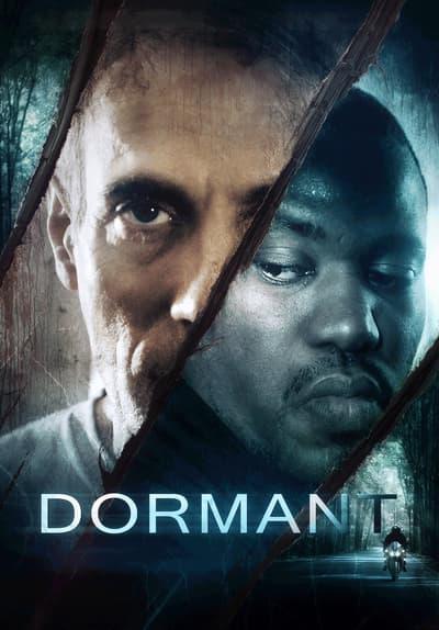 Poster för Dormant
