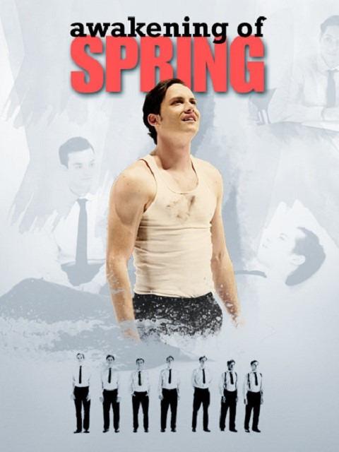 Movie poster for The Awakening of Spring