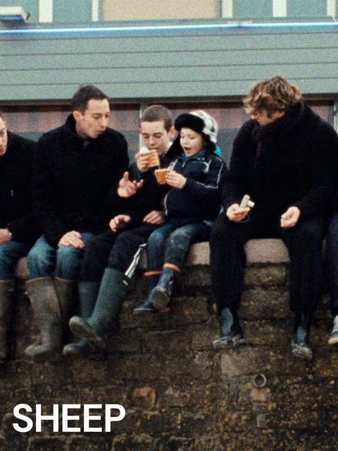 Poster för Sheep