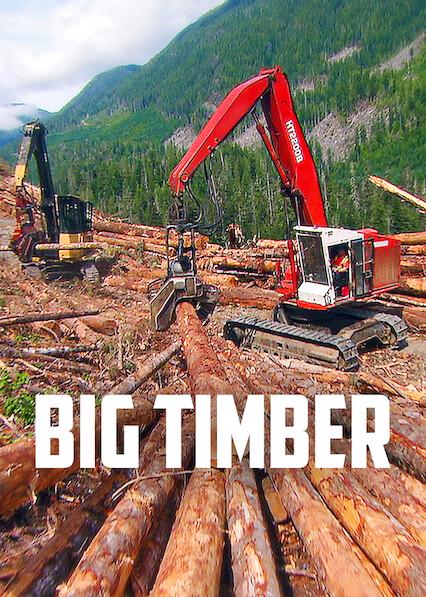 Poster för Tuffa timmerstockar