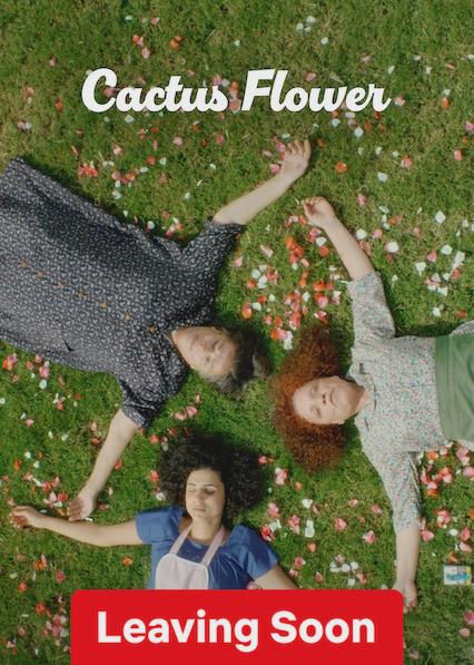 Poster för Cactus Flower