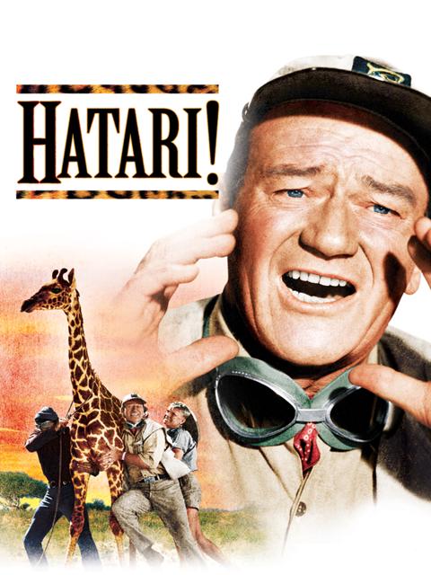 Hatari!