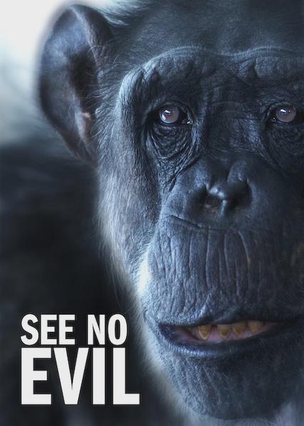 Poster för See No Evil