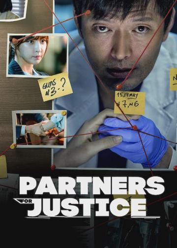 Partners for Justice poszter
