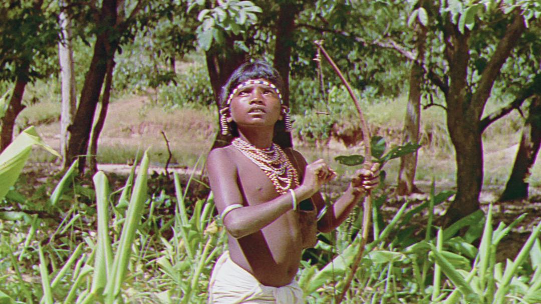 Background image for The Flute and the Arrow