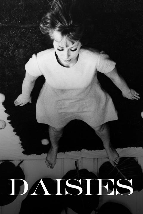 Daisies