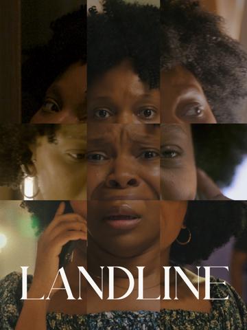 Landline poszter