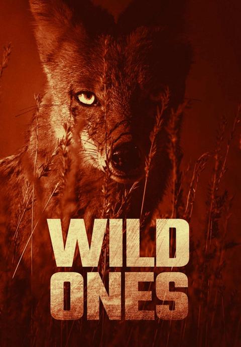 Poster för The Wild Ones