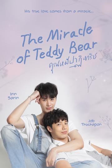 The Miracle of Teddy Bear