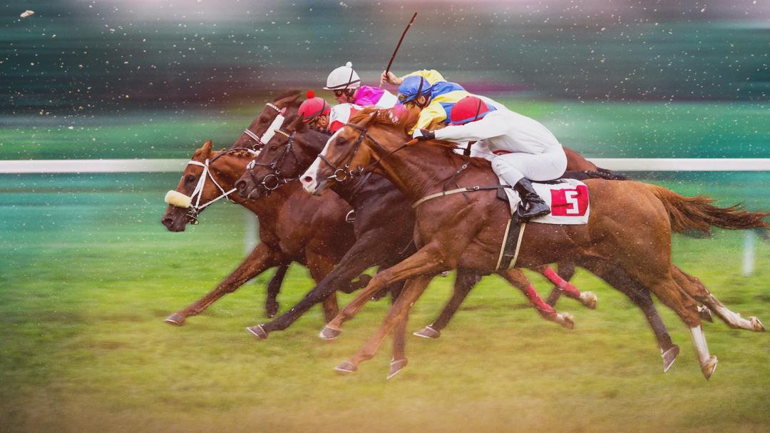 Background image for Race for the Crown