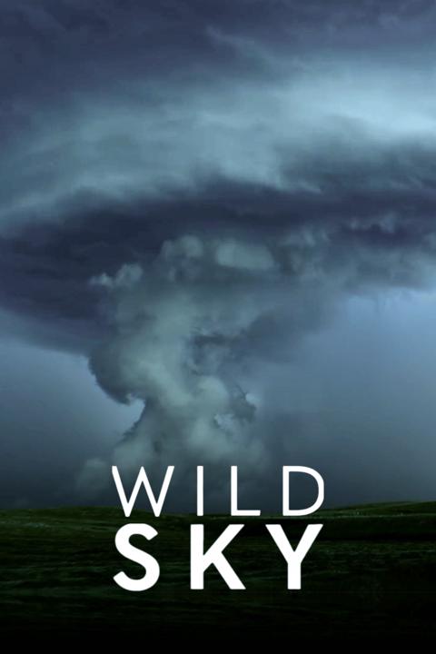 Poster för Wild Sky