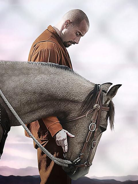 Poster för The Mustang