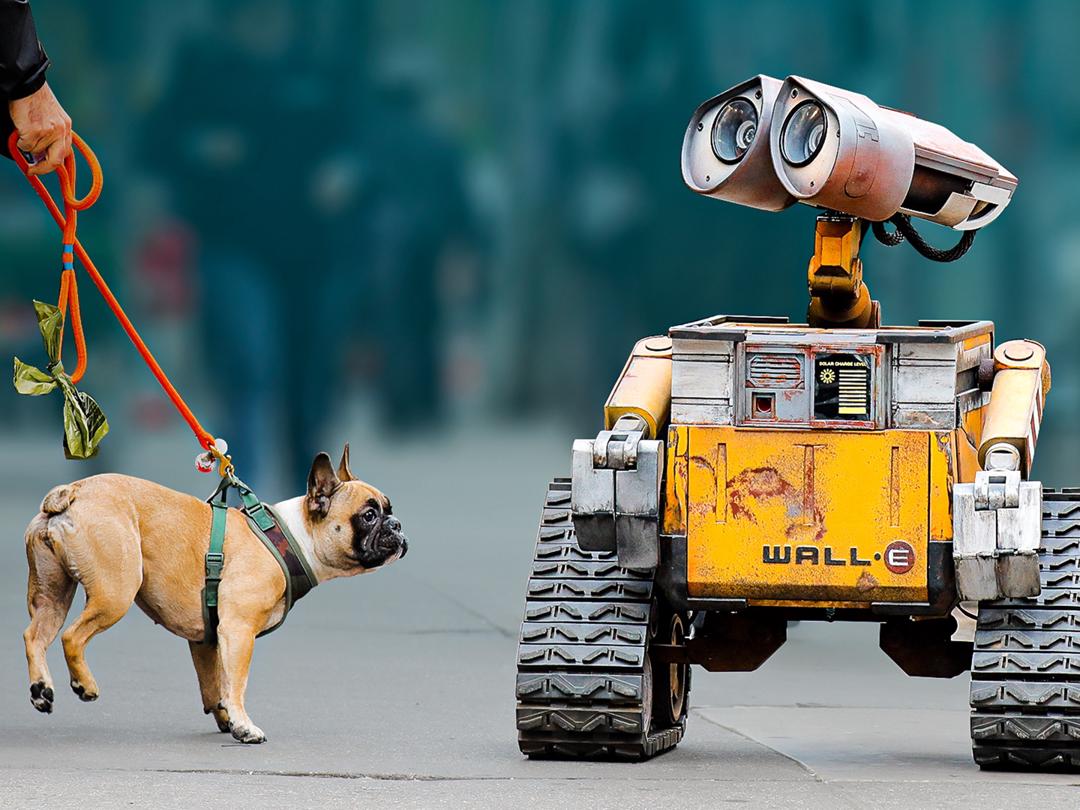 Background image for Pixar in Real Life