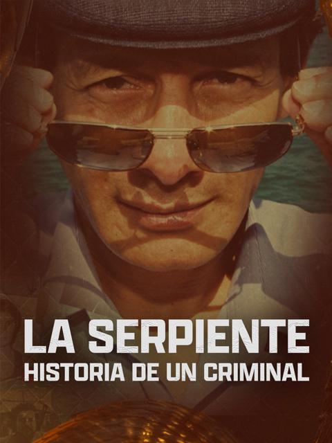 Movie poster for The Serpent: Conversations with a Killer