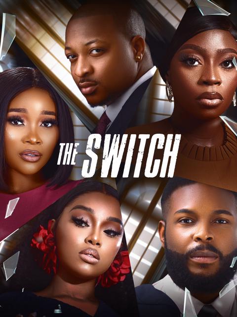 Movie poster for The Switch