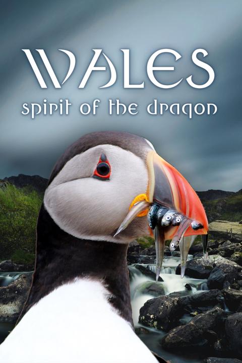 Poster för Wales: Who Do We Think We Are? With Huw Edwards