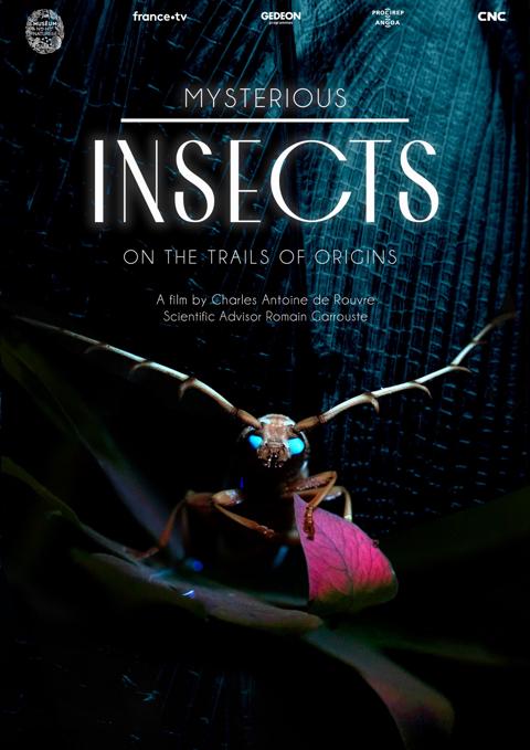 Movie poster for Mysterious Origins of Insects